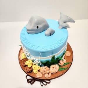 Dolphin