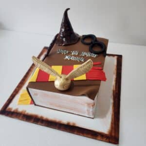 Harry Potter