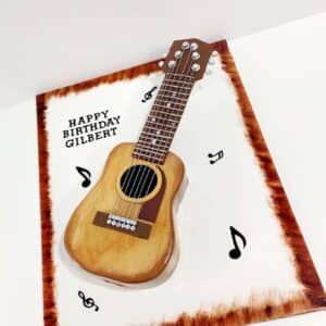 Guitar