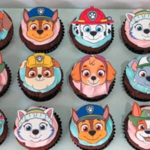 Paw Patrol 2
